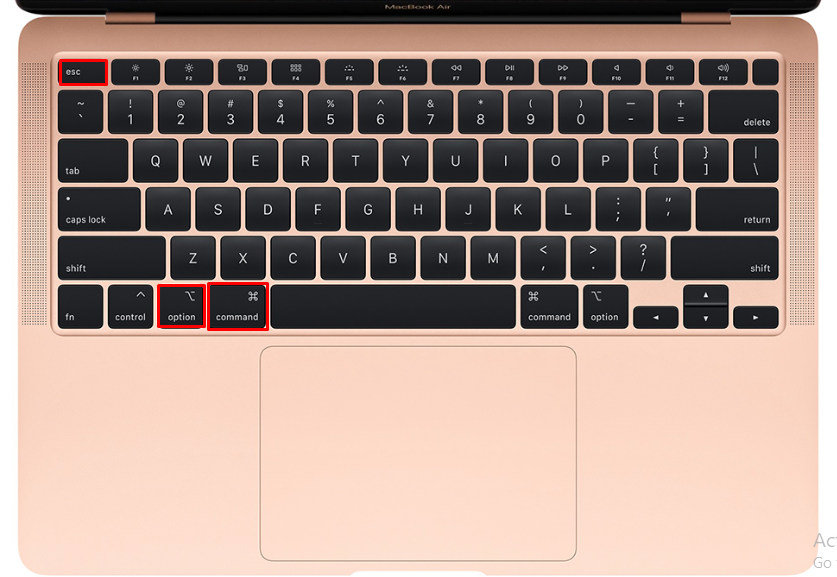 Nhấn tổ hợp Command + Option + Esc để kích hoạt cửa sổ Force Quit Applications