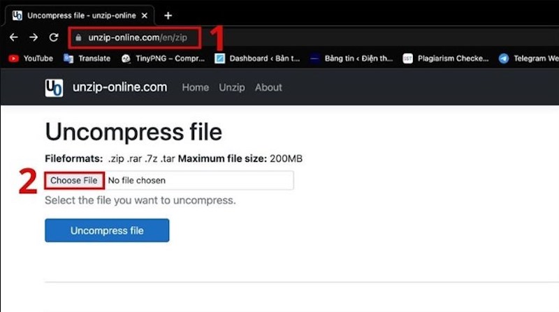 Truy cập Unzip Online và chọn “Choose File”