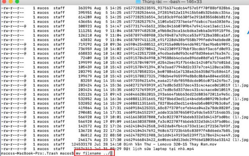 Bạn nhập lệnh ”mv filename ../” và nhấn “Enter” để di chuyển và khôi phục lại file mong muốn
